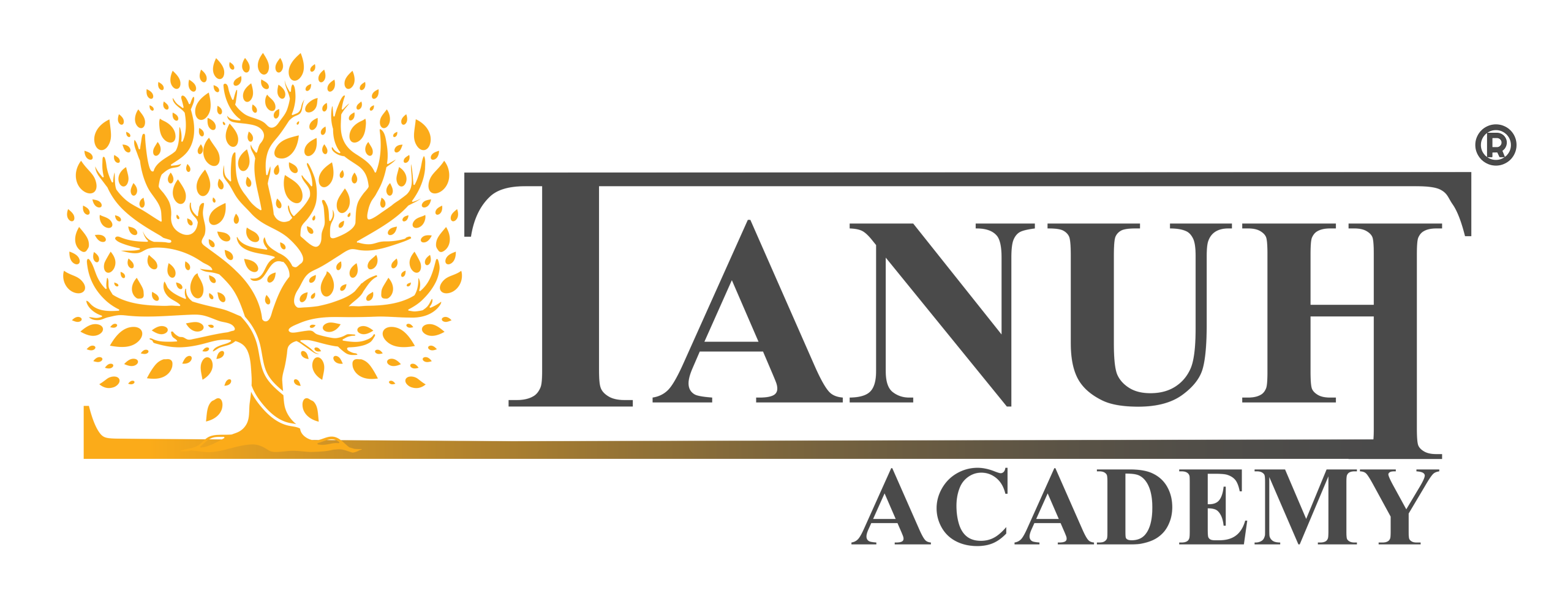 Tanuh Academy